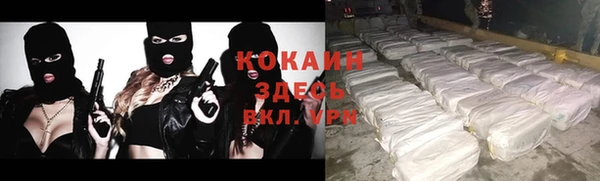 твердый Балахна